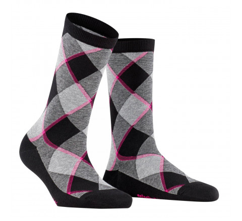 Chaussettes Westminster en coton