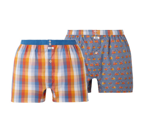 Lot de 2 caleçons slippés en pur coton peigné VESPA