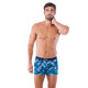 Pack de 2 boxers en coton bio PRINT ART